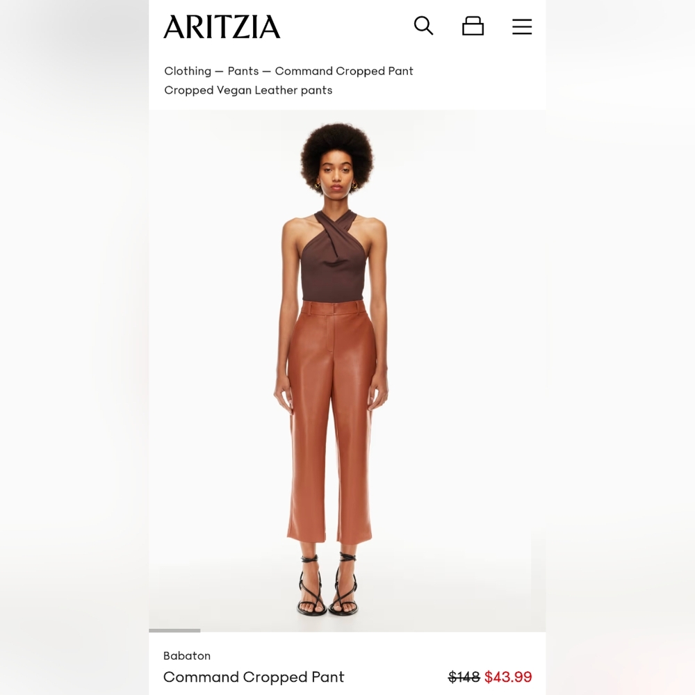 Aritzia Babaton Command Vegan Leather pants